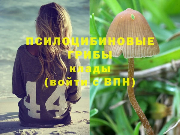 трава Медвежьегорск