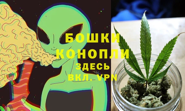 трава Медвежьегорск