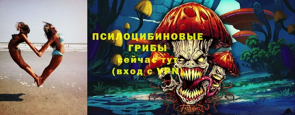 дмт Медногорск