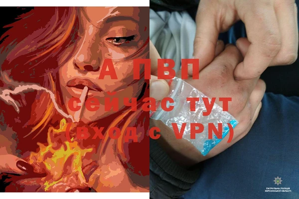 мяу мяу мука Мегион