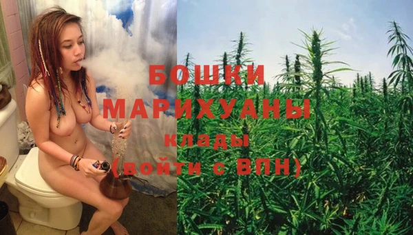трава Медвежьегорск