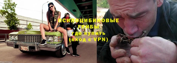 трава Медвежьегорск